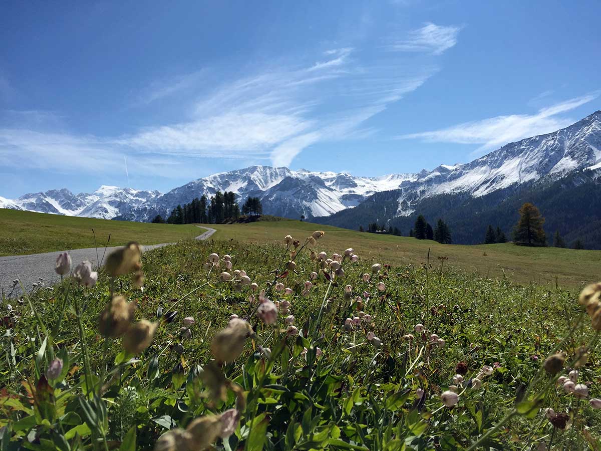 Ausblick von Lü